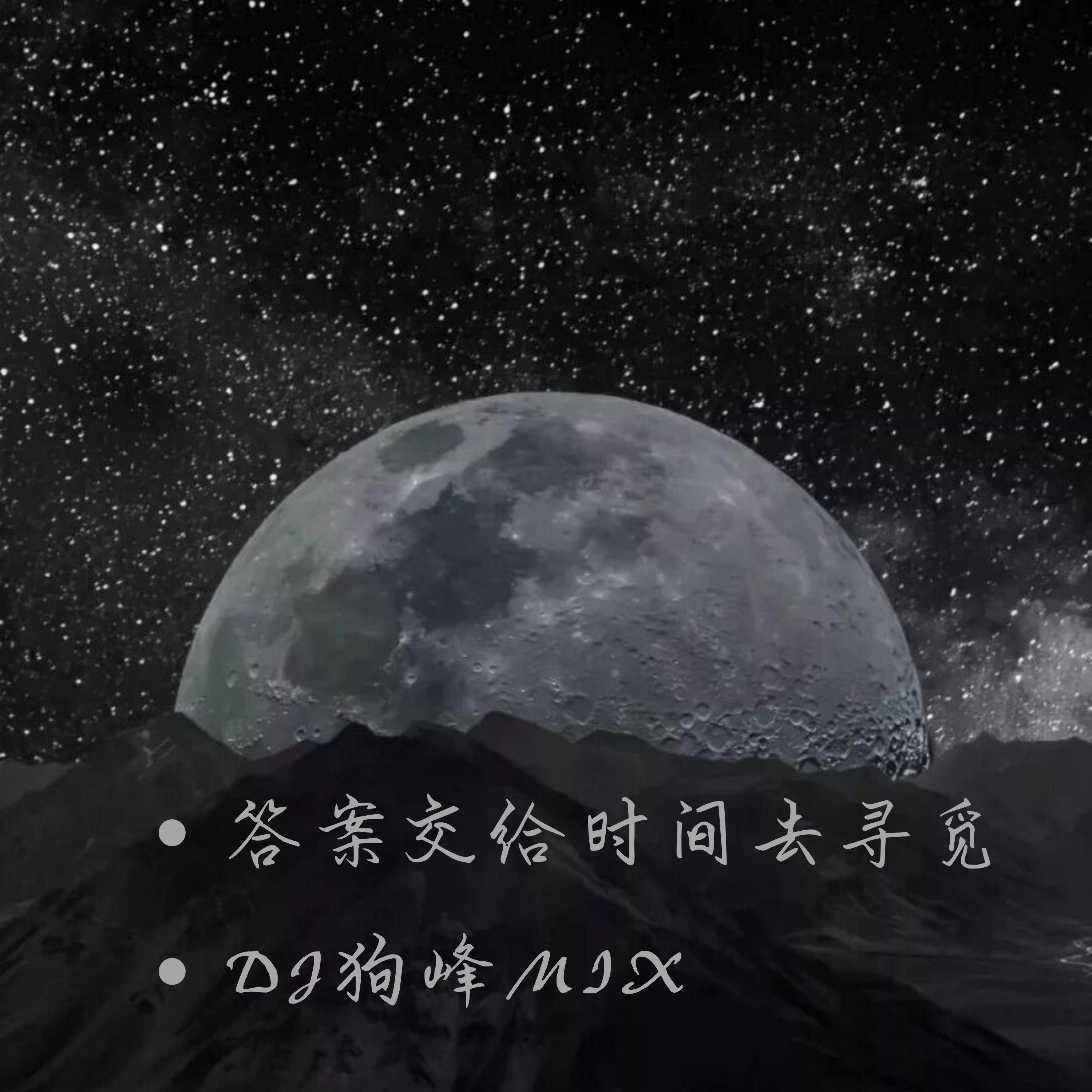答案交给时间去寻觅