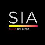 Numb Remixes 1专辑