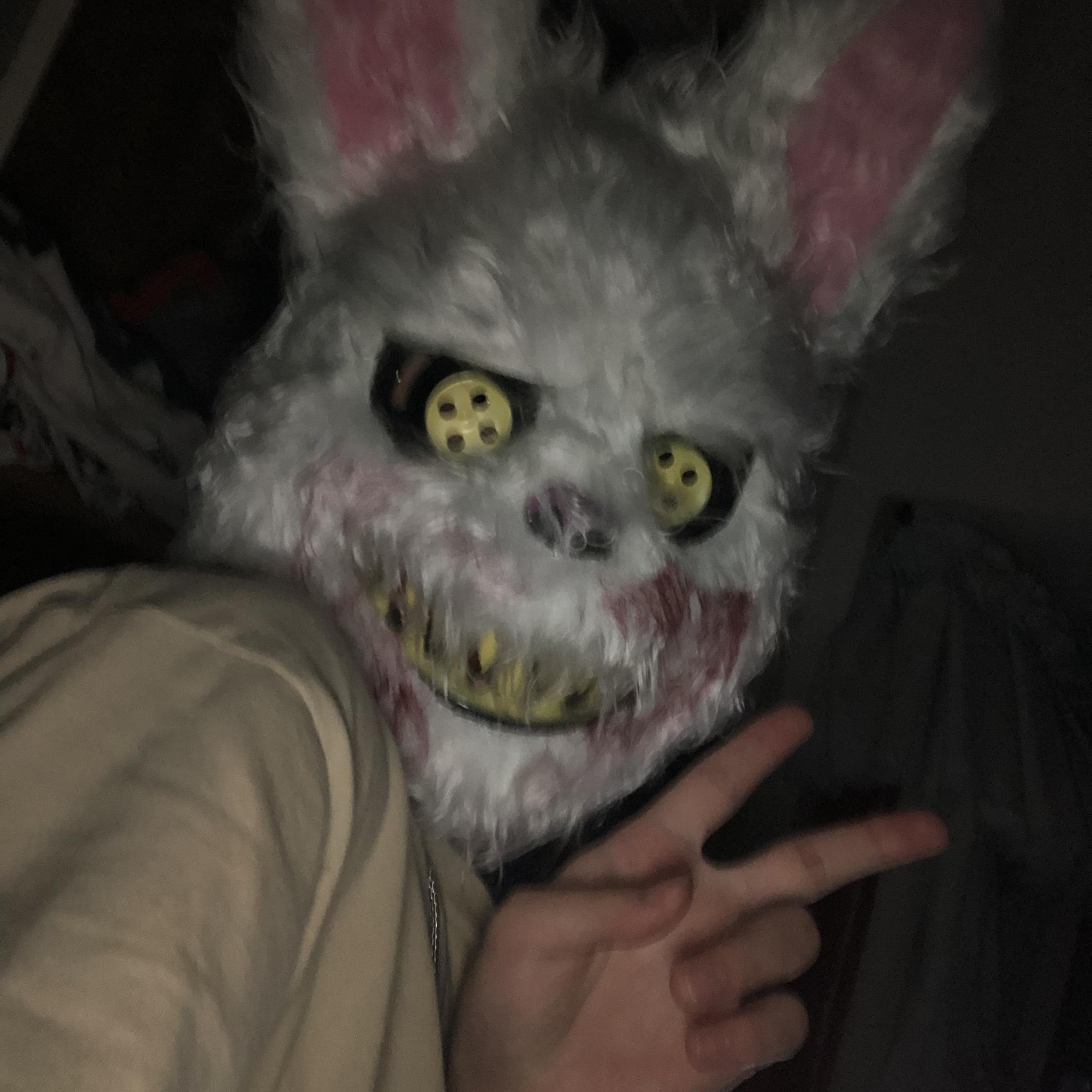 没啥好说的