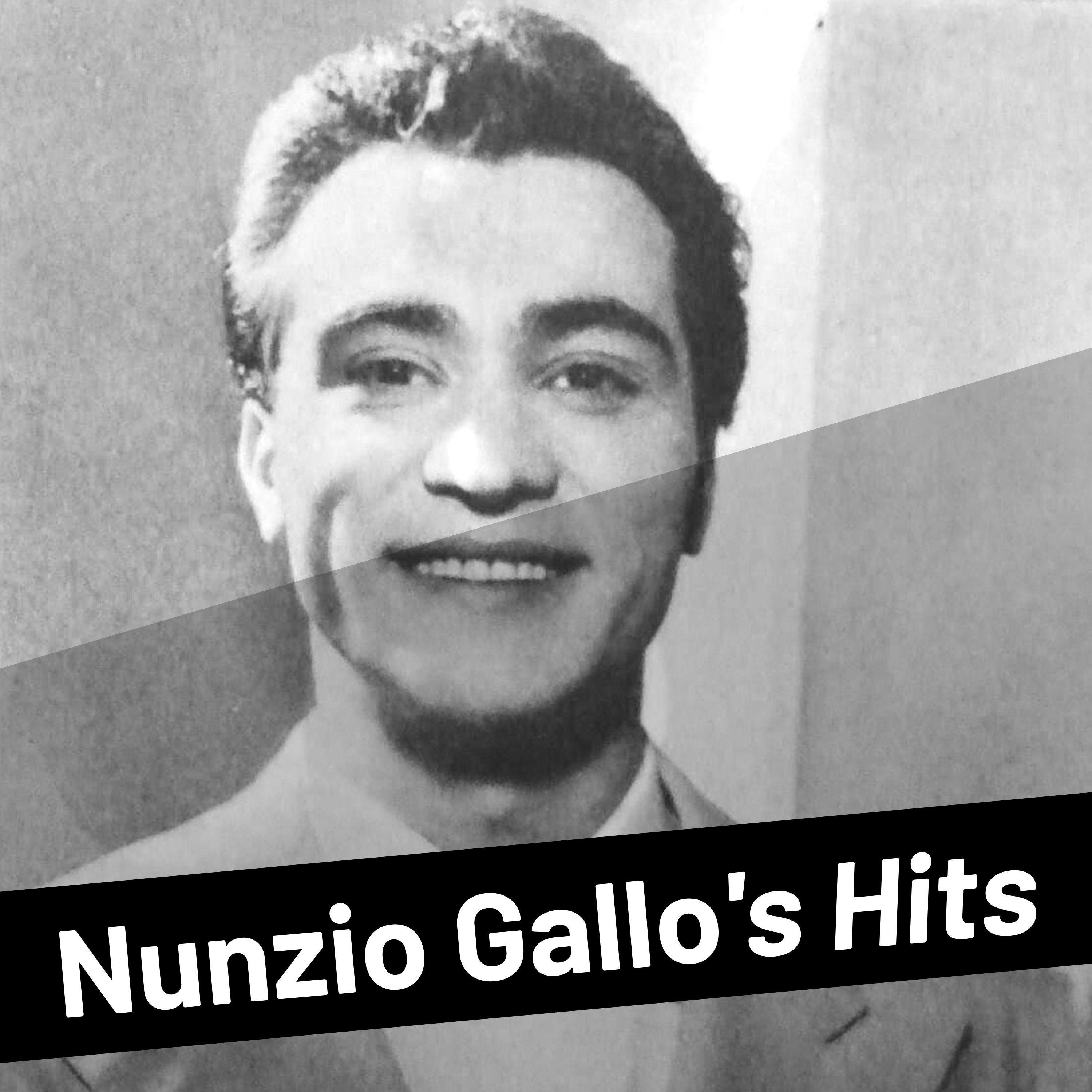 Nunzio Gallo's Hits