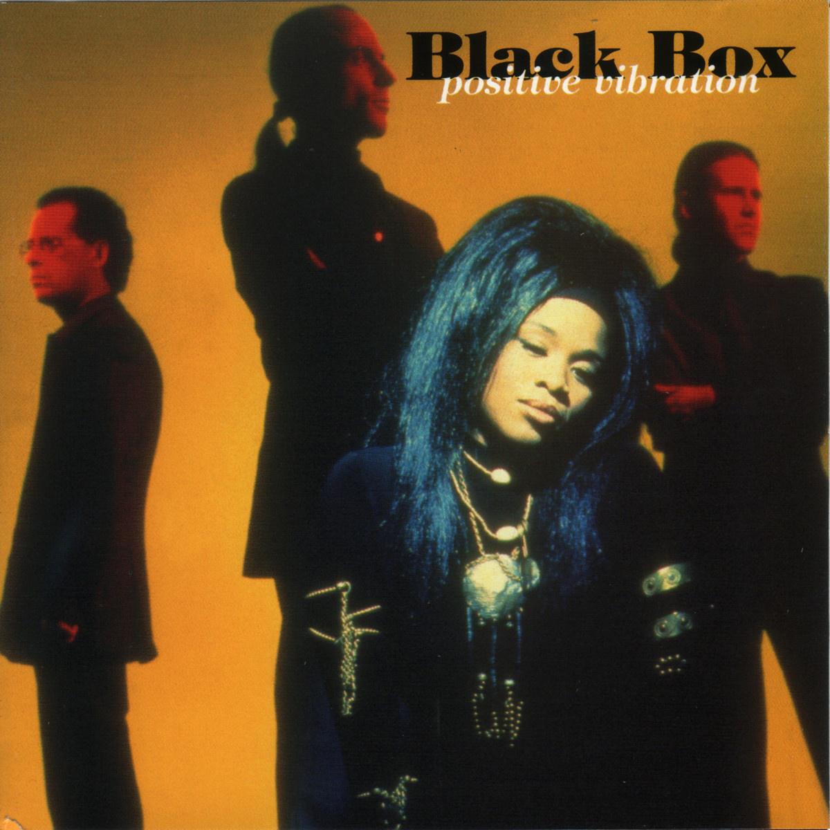 Black Box - Not Anyone (album mix)