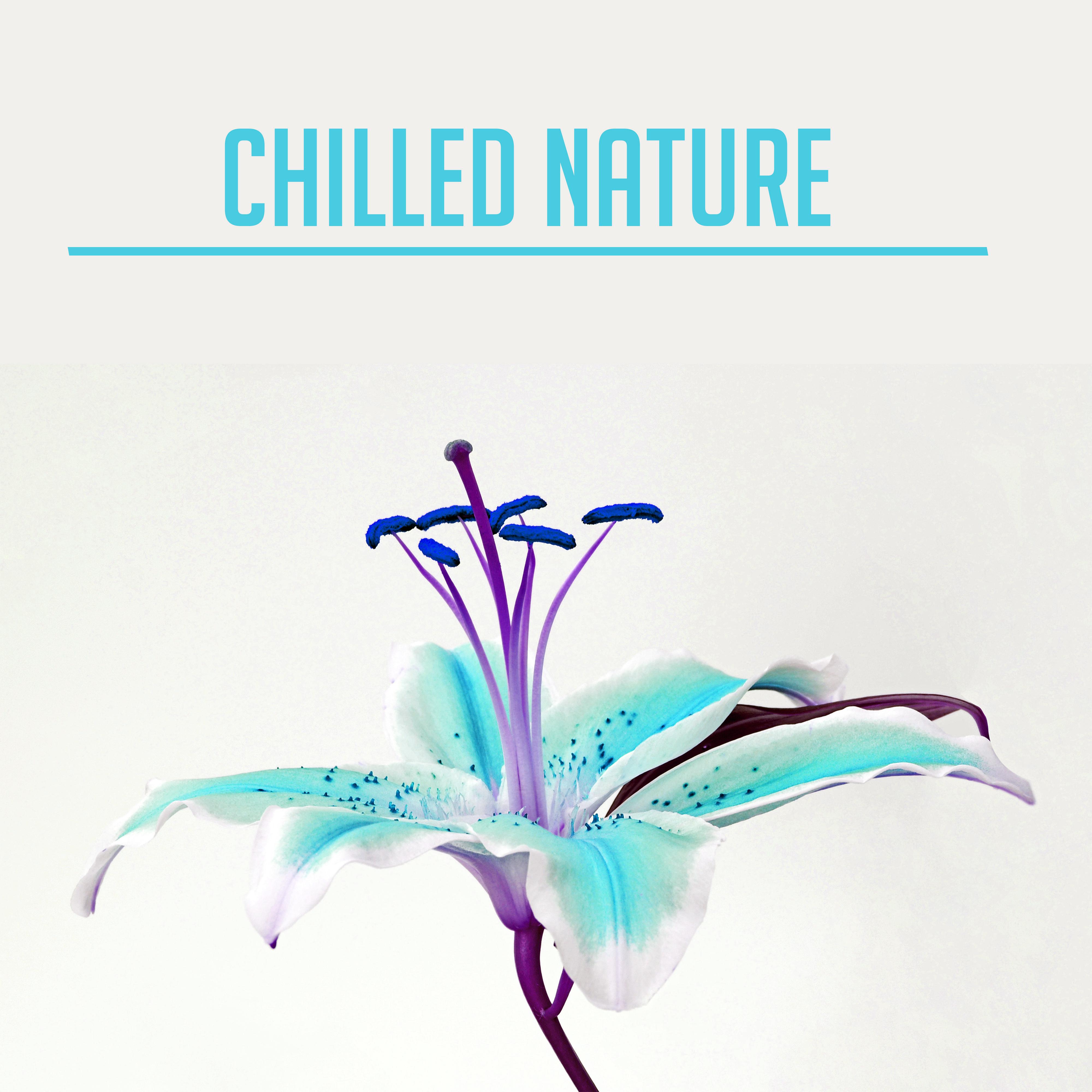 Chilled Nature – Relaxing Music, Peaceful Sounds of Nature, Rest, Relax, Calm Down, Stress Relief, N专辑