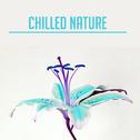 Chilled Nature – Relaxing Music, Peaceful Sounds of Nature, Rest, Relax, Calm Down, Stress Relief, N专辑