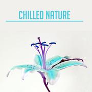 Chilled Nature – Relaxing Music, Peaceful Sounds of Nature, Rest, Relax, Calm Down, Stress Relief, N
