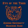 Auburn University Marching Band - Glory to Ole Auburn