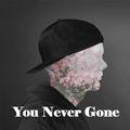 You never gone (for Avicii)