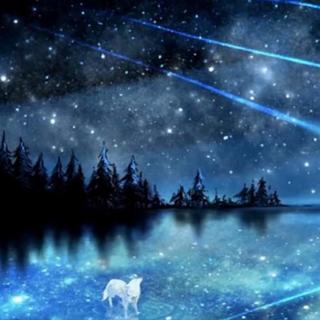 [空灵•意境•飘渺]星空下孤独的守望者