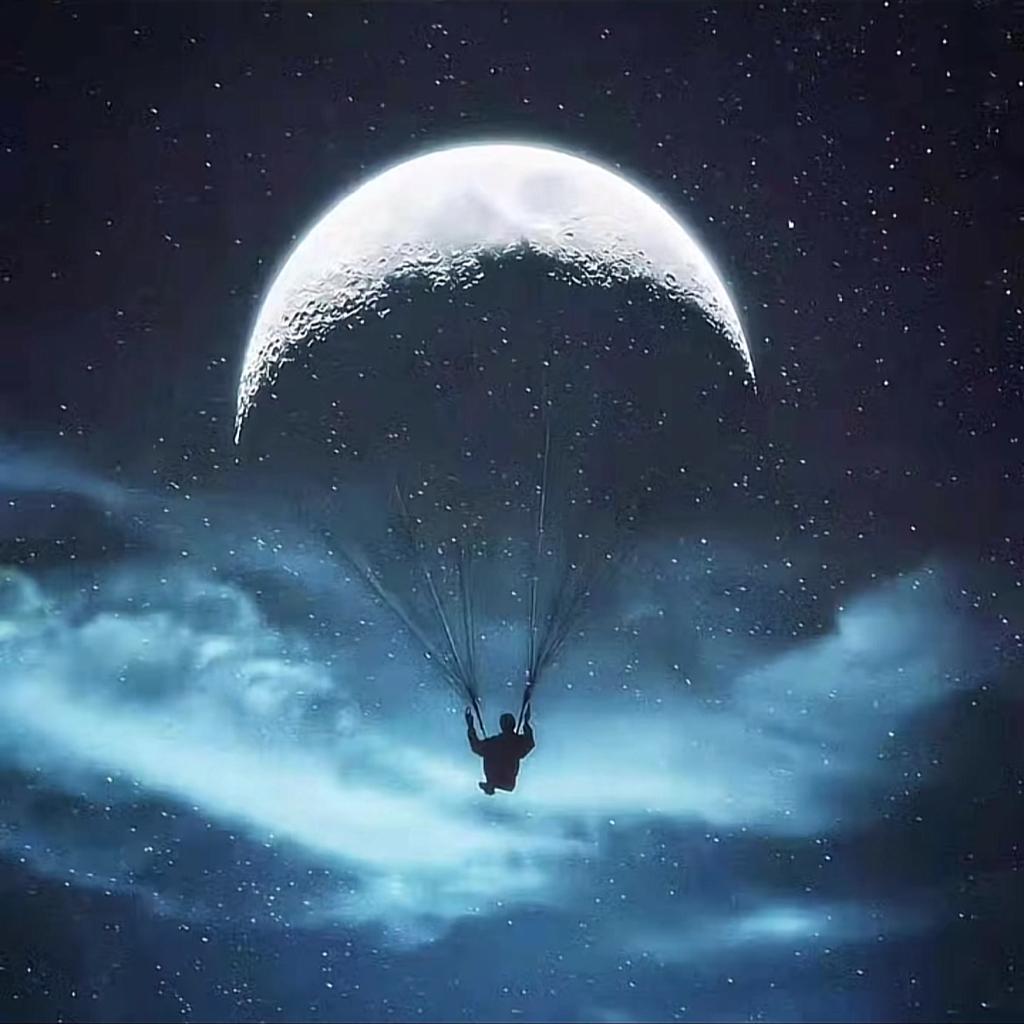 我会毫不犹豫的奔向你，这次，每次，次次。