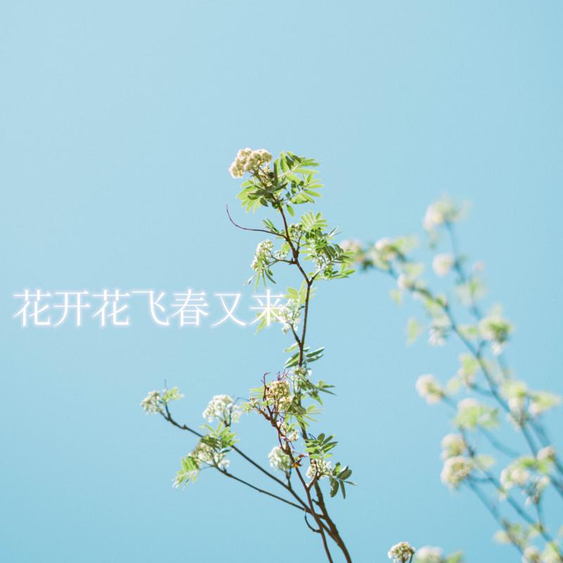 花开花飞春又来专辑