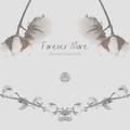 Forever More (Always And Forever Part.2)