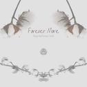 Forever More (Always And Forever Part.2)专辑