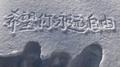 所以爱到底是什么呢专辑