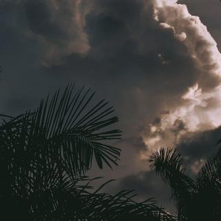 古風超甜｜嫣然一笑竹篱间 桃李满山总粗俗