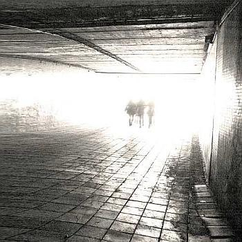 [st:am:pd:t:rail]
