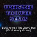 KT Tunstall - Black Horse & The Cherry Tree (Vocal Melody Version)专辑