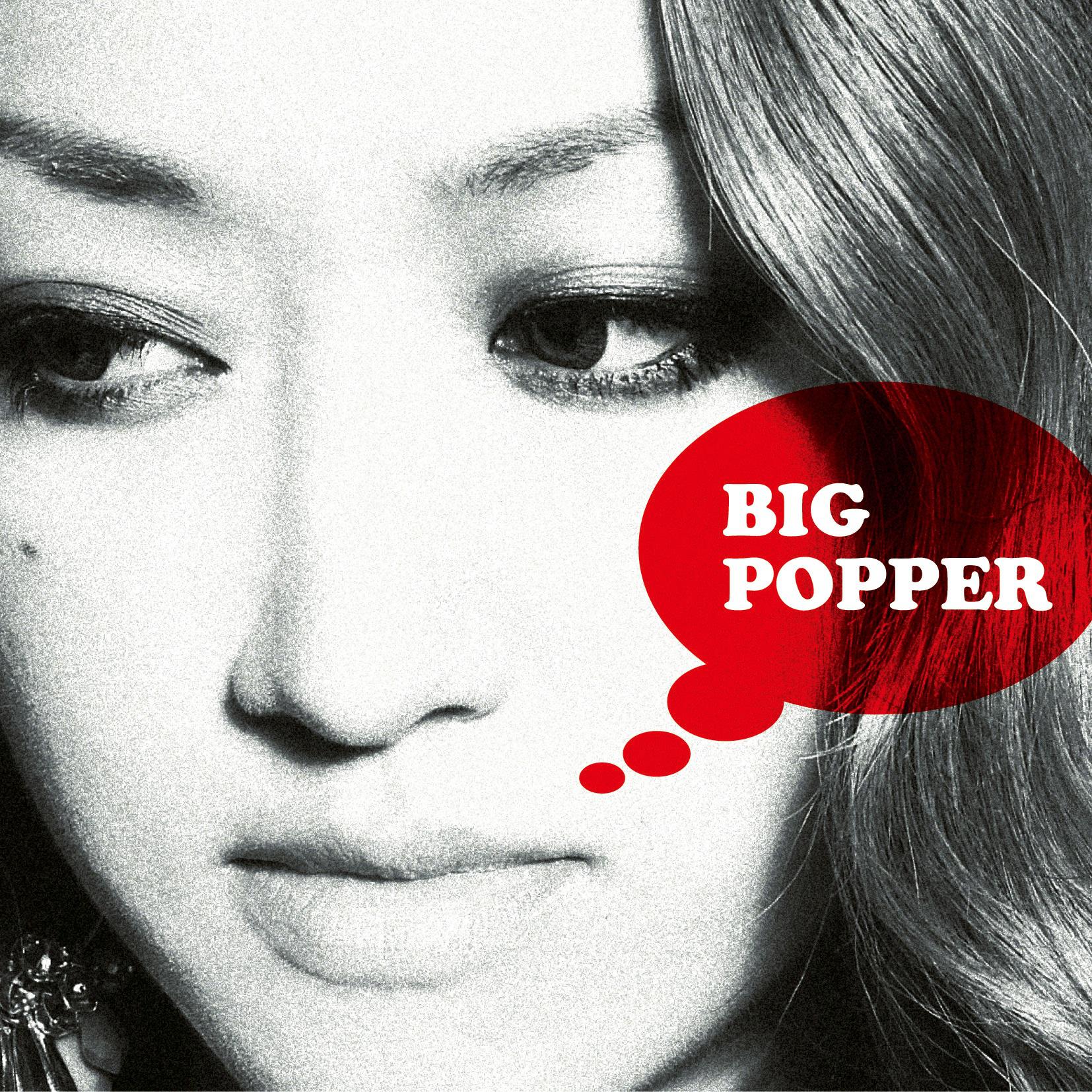 BIG POPPER专辑