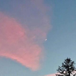 SweeτSummeя