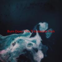Burn Down the Trailer Park - Billy Ray Cyrus (SC karaoke) 带和声伴奏