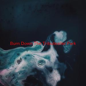 Burn Down The Trailer Park - Billy Ray Cyrus (PH karaoke) 带和声伴奏 （升7半音）