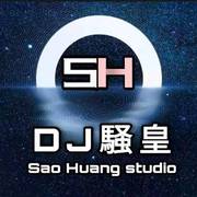 怨苍天变了心 Dj