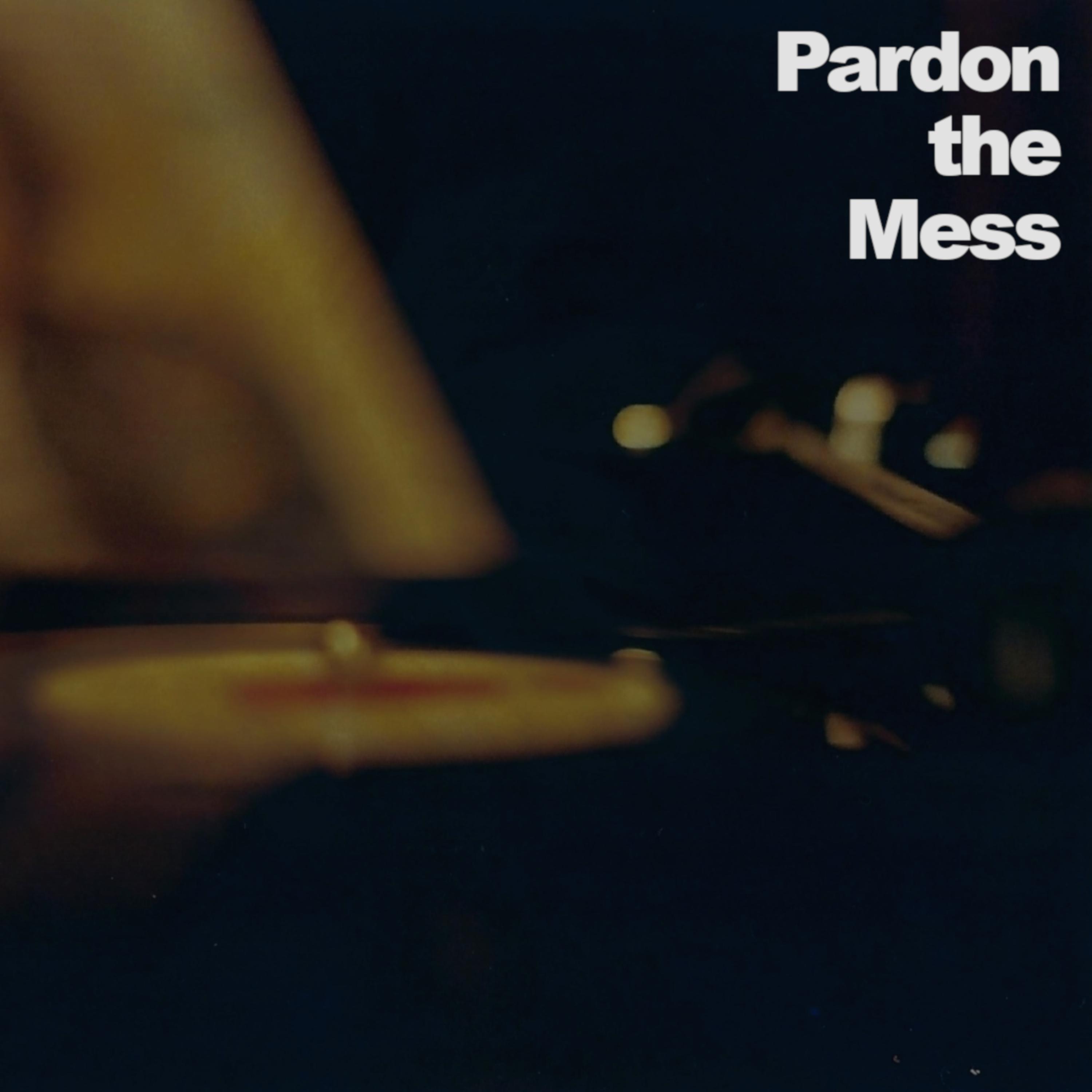 Pardon the Mess (Demo)