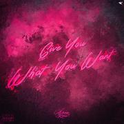 Give You Want You Want（Ashine Remix）