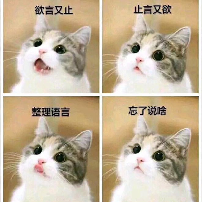 有何不可