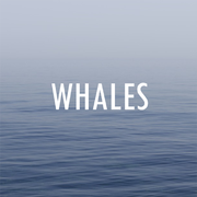 Whales