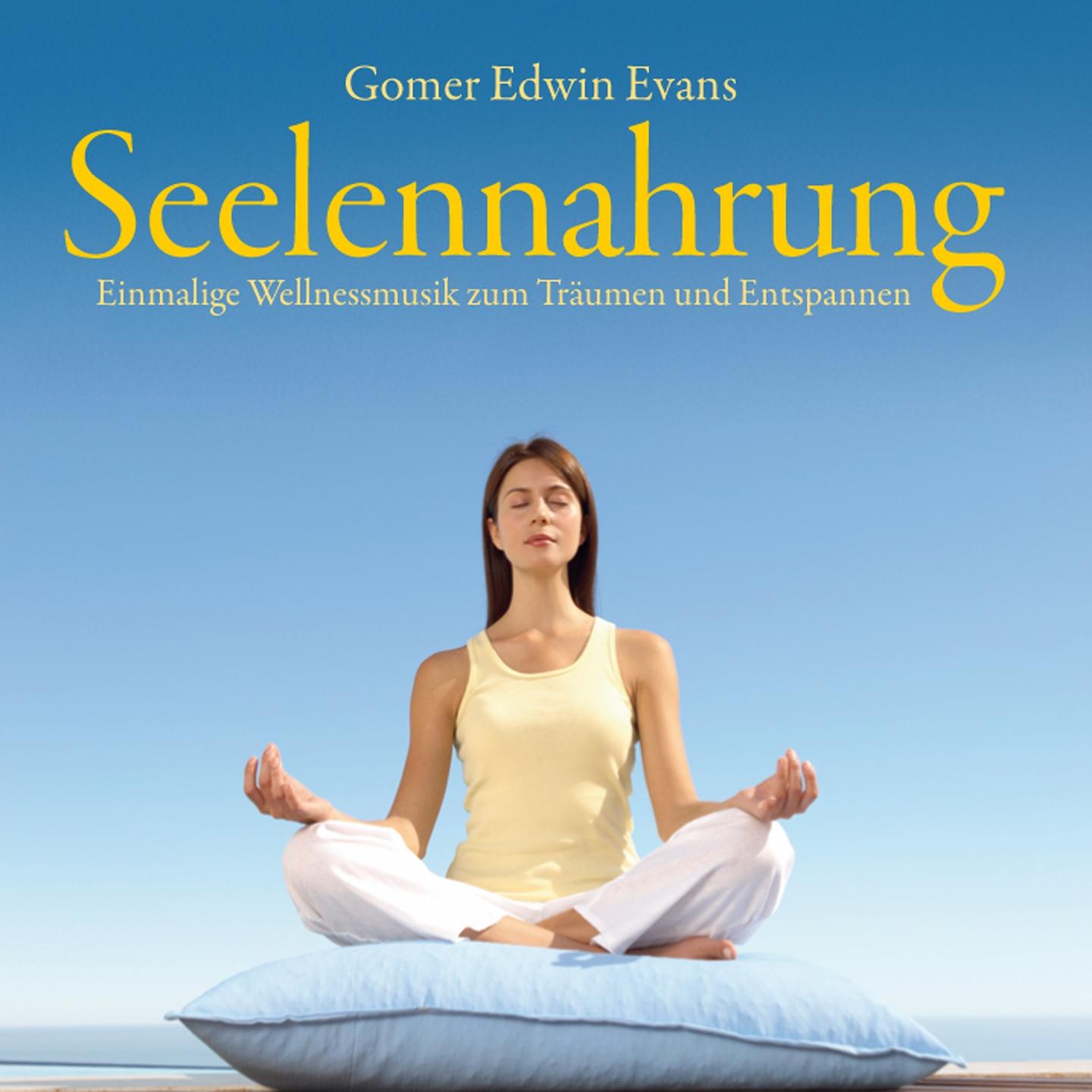 Seelennahrung : Wohlfühlmusik zur Entspannung专辑