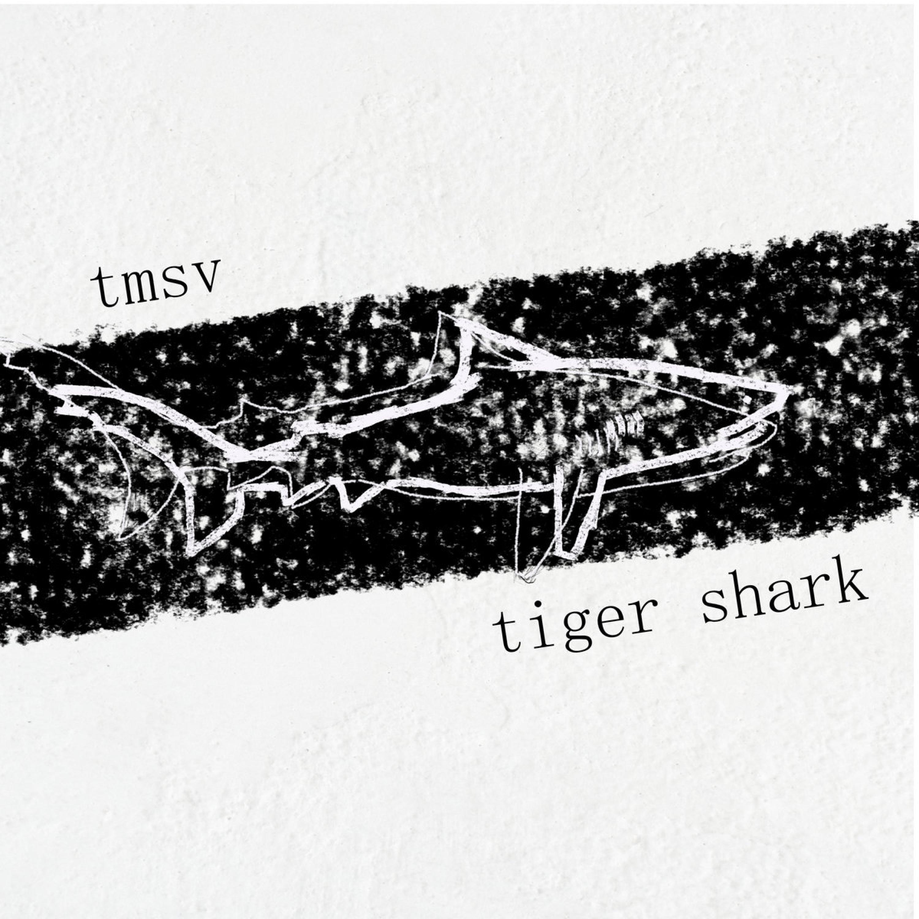 Tiger Shark