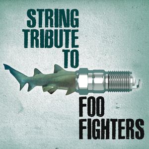 Foo Fighters - Stranger Things Have Happened (Karaoke Version) 带和声伴奏