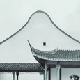 雨落梧桐