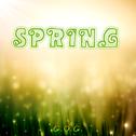 SPRING专辑