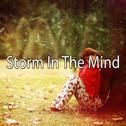 Storm In The Mind专辑