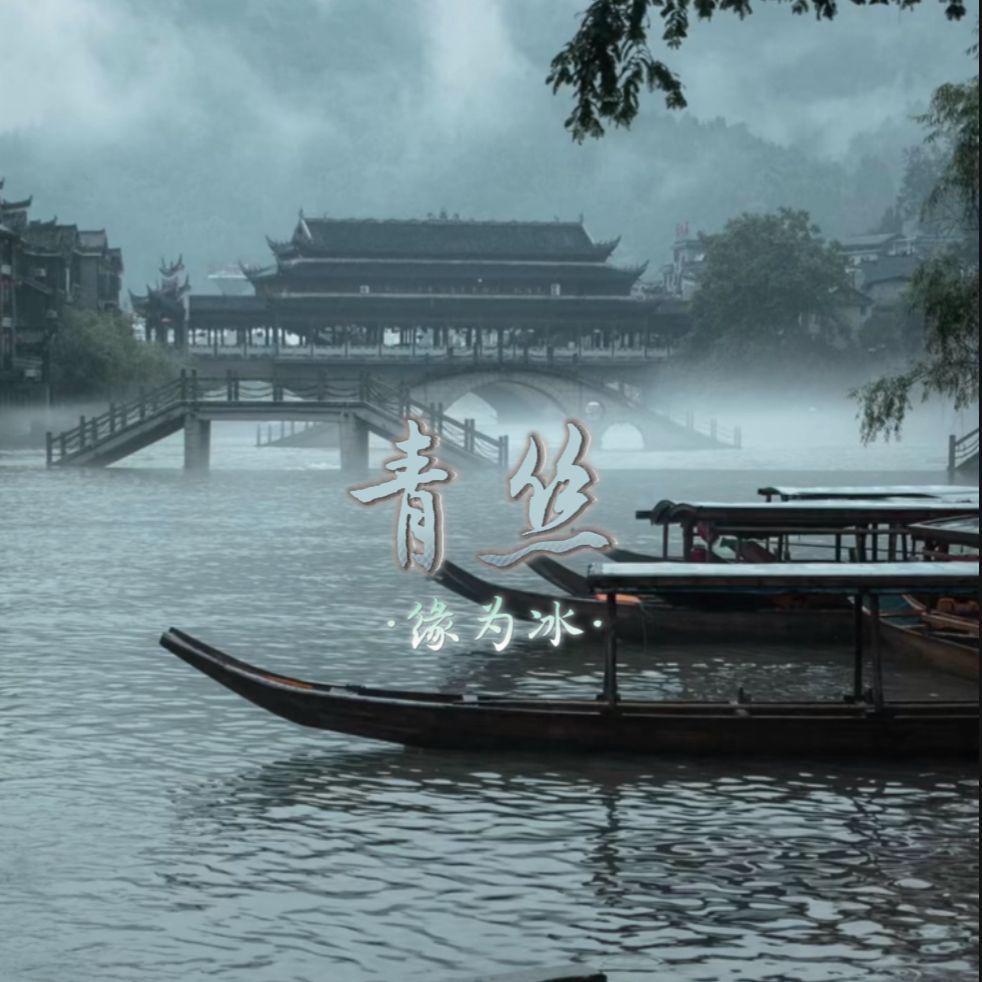 青丝DJ版(落花纷飞飘散)