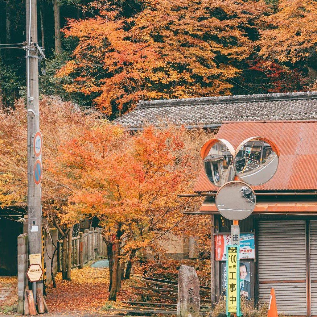 「日系轻调」采摘秋叶 拥抱秋风 吟唱秋歌