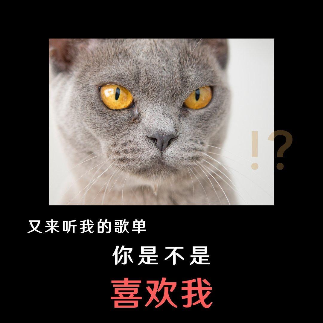 【纯音乐】杂货铺