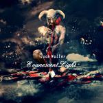 Evanescent Light