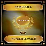 Wonderful World (UK Chart Top 40 - No. 27)专辑