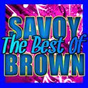 The Best of Savoy Brown (Live)专辑