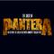 The Best Of Pantera: Far Beyond The Great Southern Cowboy's Vulgar Hits专辑