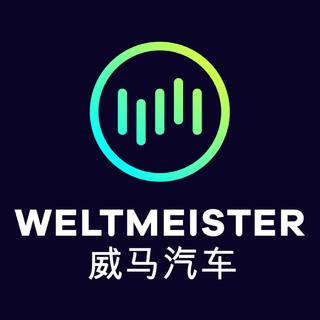 威马EX5寻光北极歌单