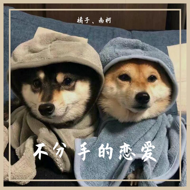 不分手的恋爱