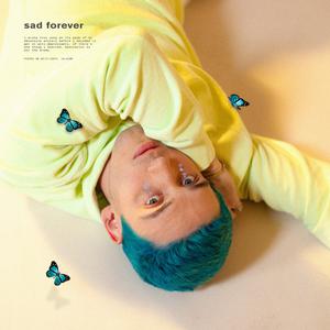 Lauv - Sad Forever (Karaoke) 原版带和声伴奏 （升8半音）