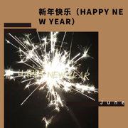 新年快乐（HAPPY NEW YEAR）