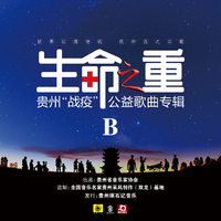 生命绚丽如此春天1(伴奏升b）