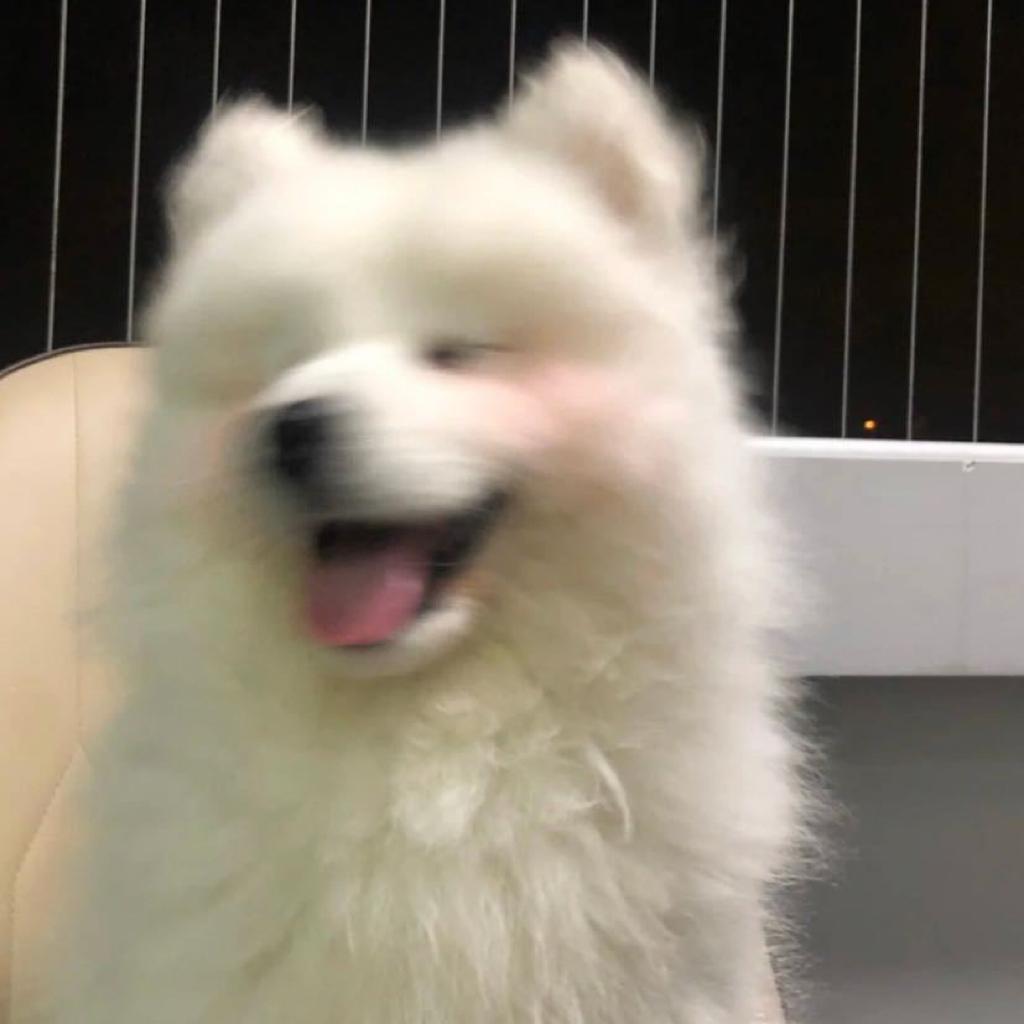 请你不要听苦情歌(说唱)
