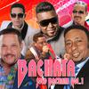 Dj Biberon - Bachata Solo Bachata, Vol. 1 Pa Bebe Romo