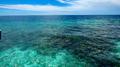 夏日海浪潮汐 | R&B的液态黄昏诗