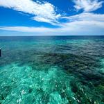 夏日海浪潮汐 | R&B的液态黄昏诗